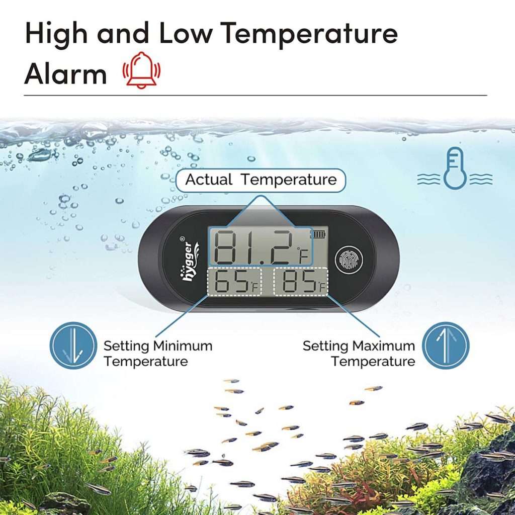 Aquarium Thermometers: DYMAX DIGITAL THERMOMETER